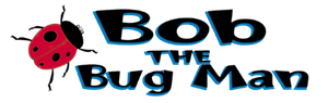 Bob the bug man logo with a ladybug on it