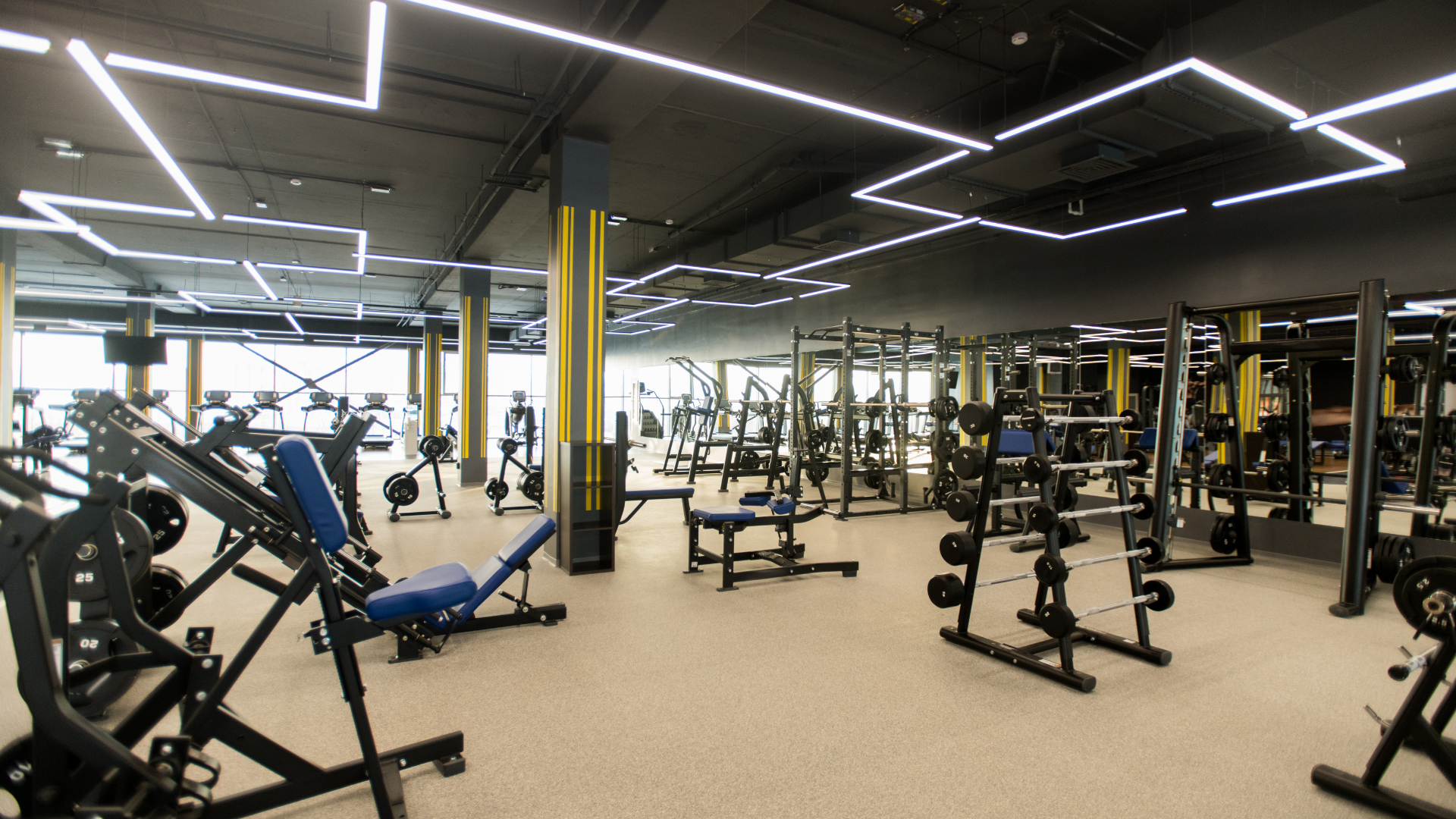 Gym with treadmills, elliptical machines, and weights, featuring large windows and hardwood floors.