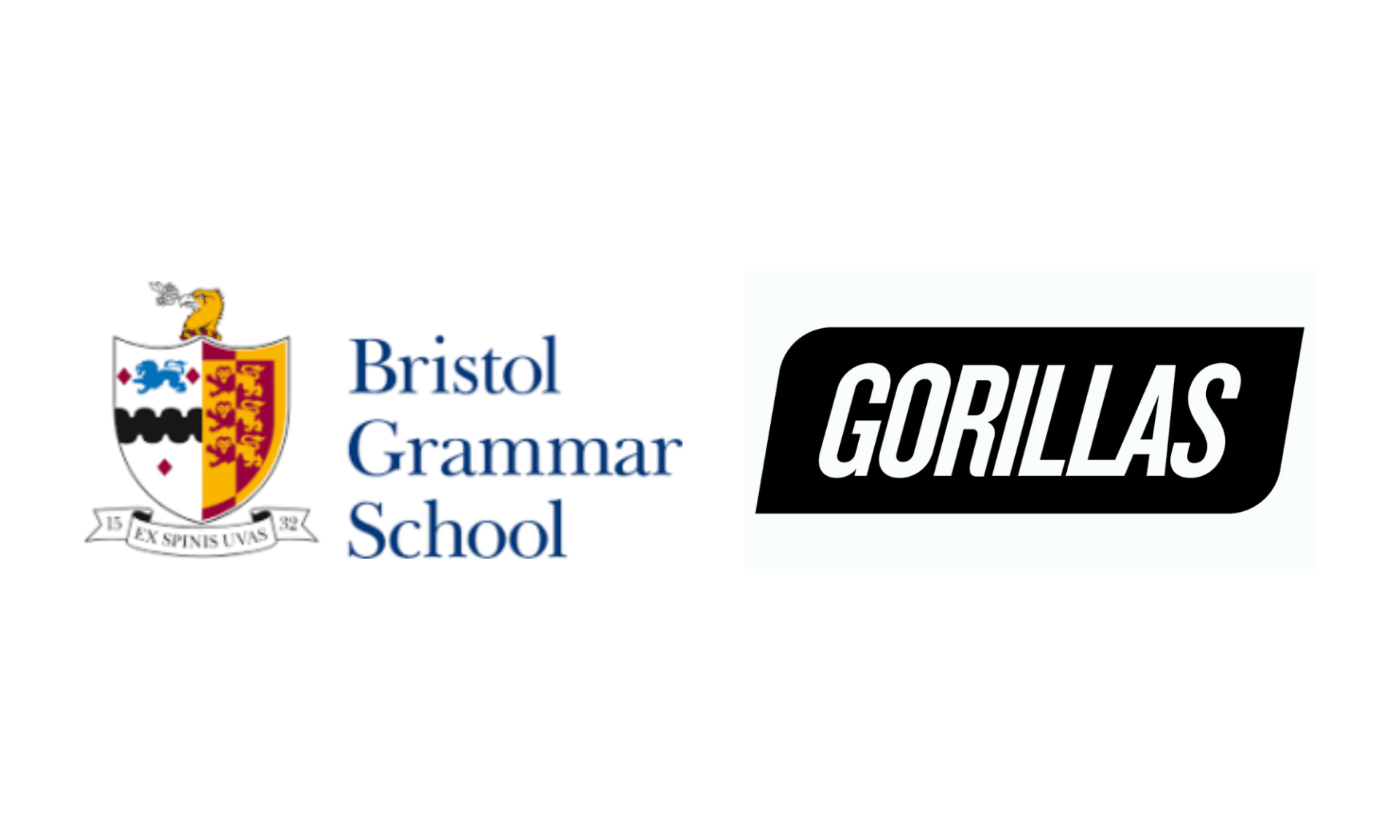 Bristol Grammar School, Gorillas (App)