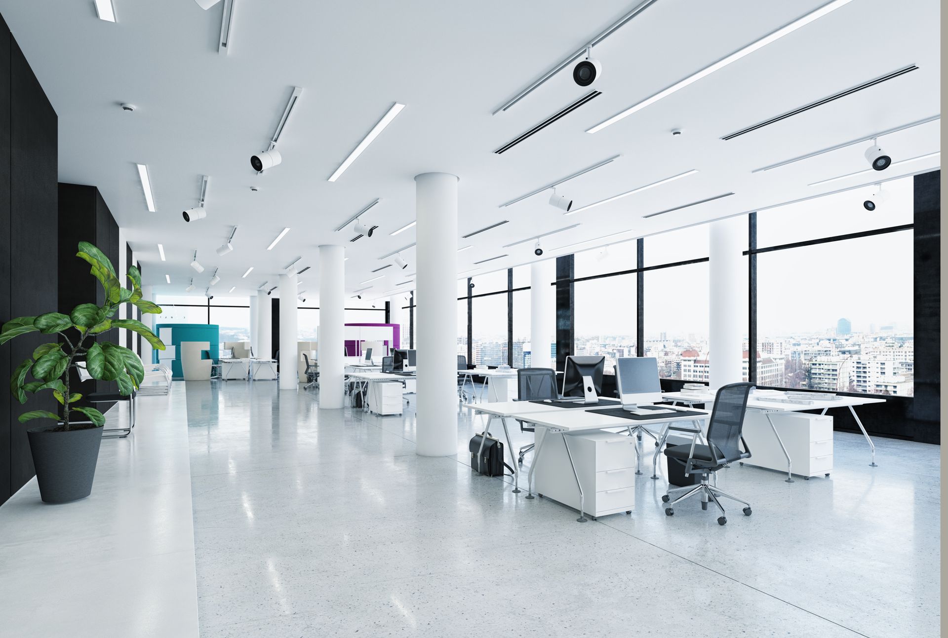 A bright, clean, modern office with large windows, white desks and a green plant