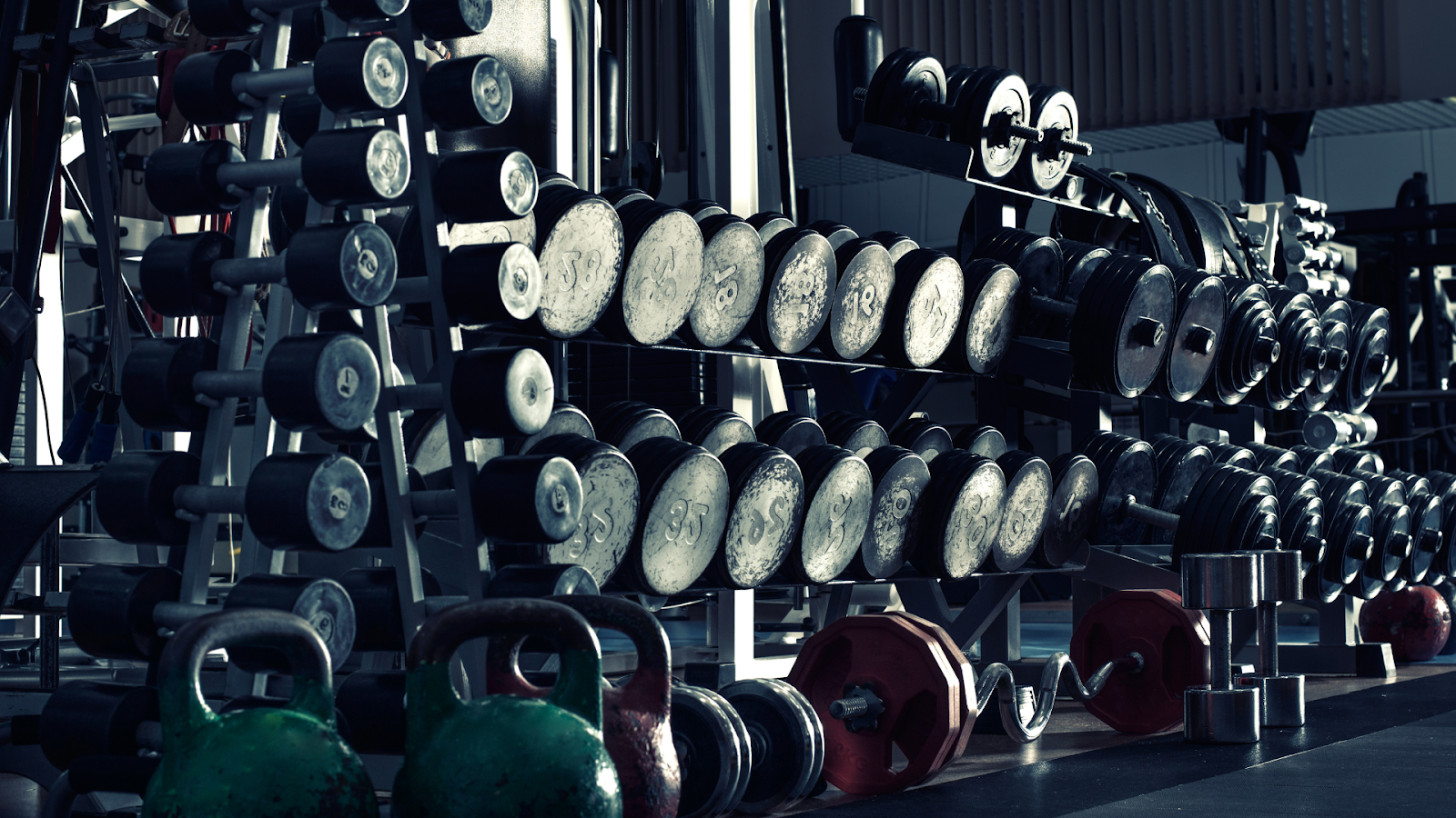 Rows of dumbbells and kettlebells in a gym, lit by strong overhead light.