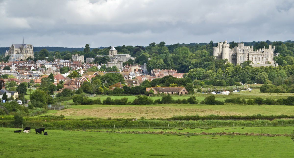 A group of cows are grazing in a field with a castle in the background.