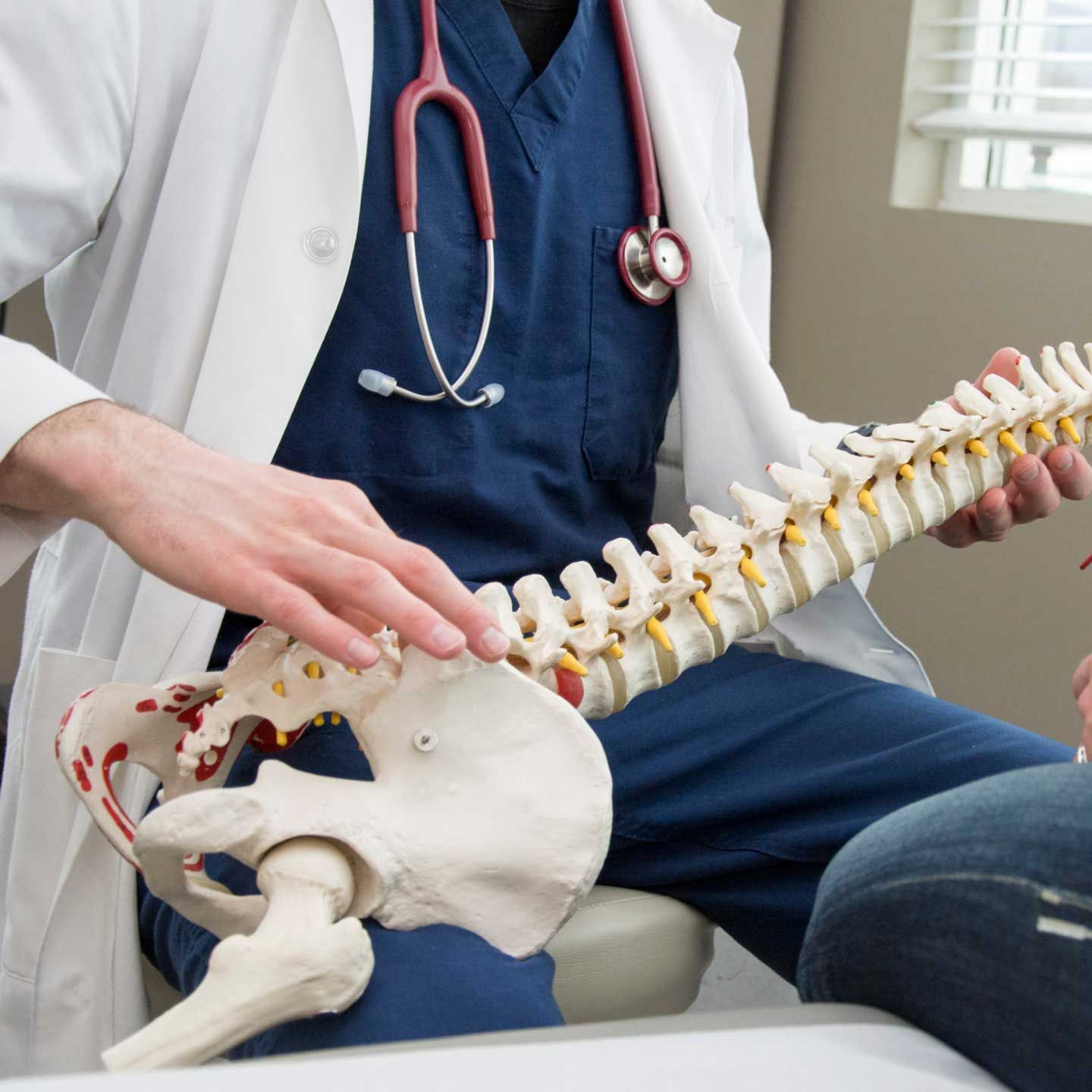 Doctor holding a spine model, examining a patient's lower back. Medical setting, stethoscope visible.
