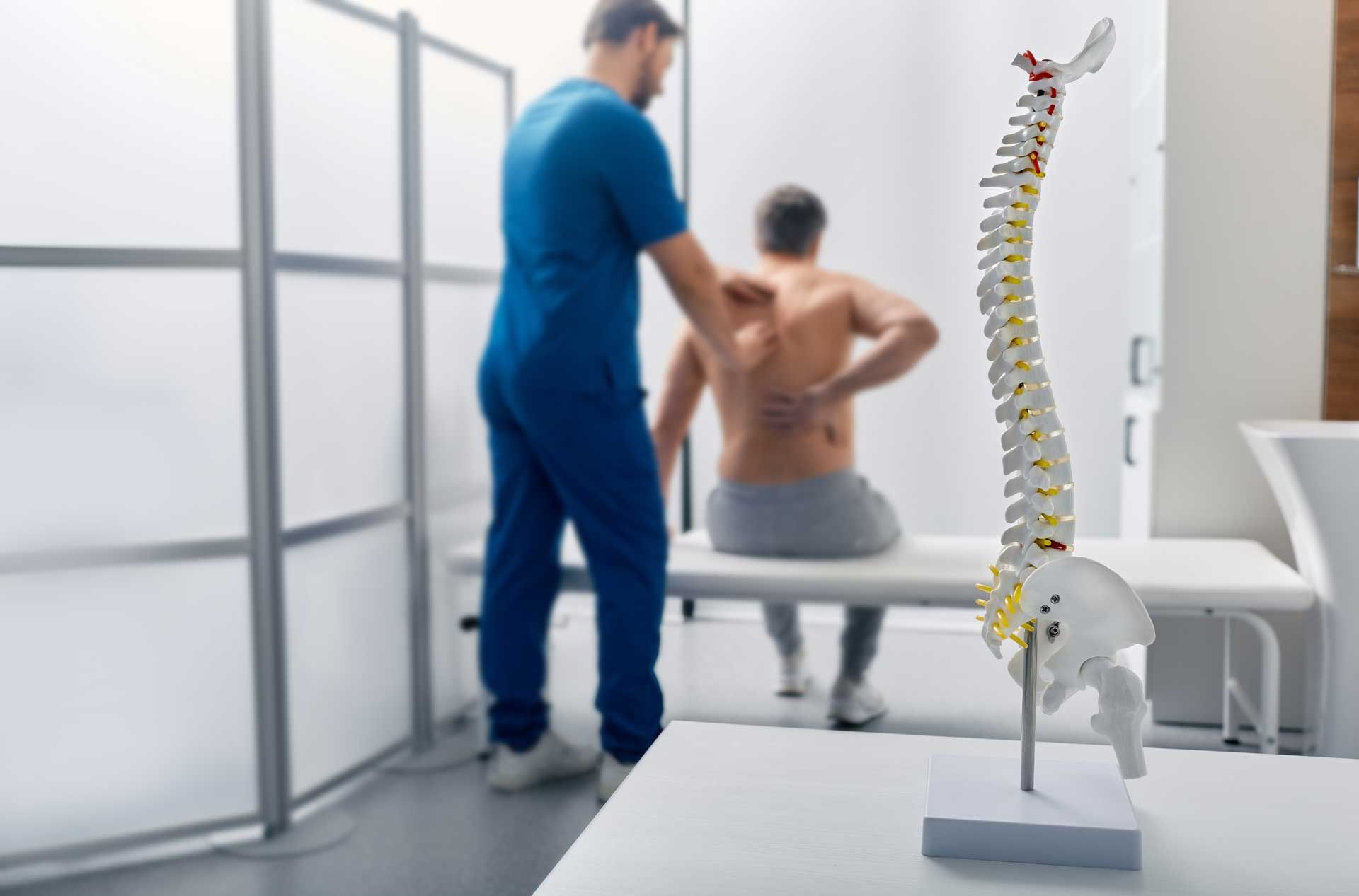 Doctor examining a patient's back in a medical setting, spine model in the foreground.