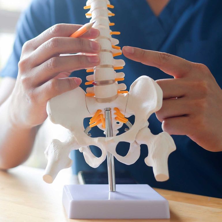 A person in blue scrubs points to and holds a model of a human spine and pelvis on a wooden table.