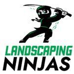 Ninja figure wielding a sword above the words 