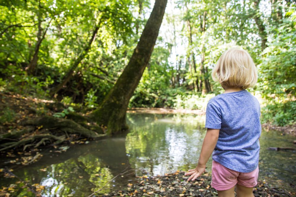 Creek-Side Nature Trail