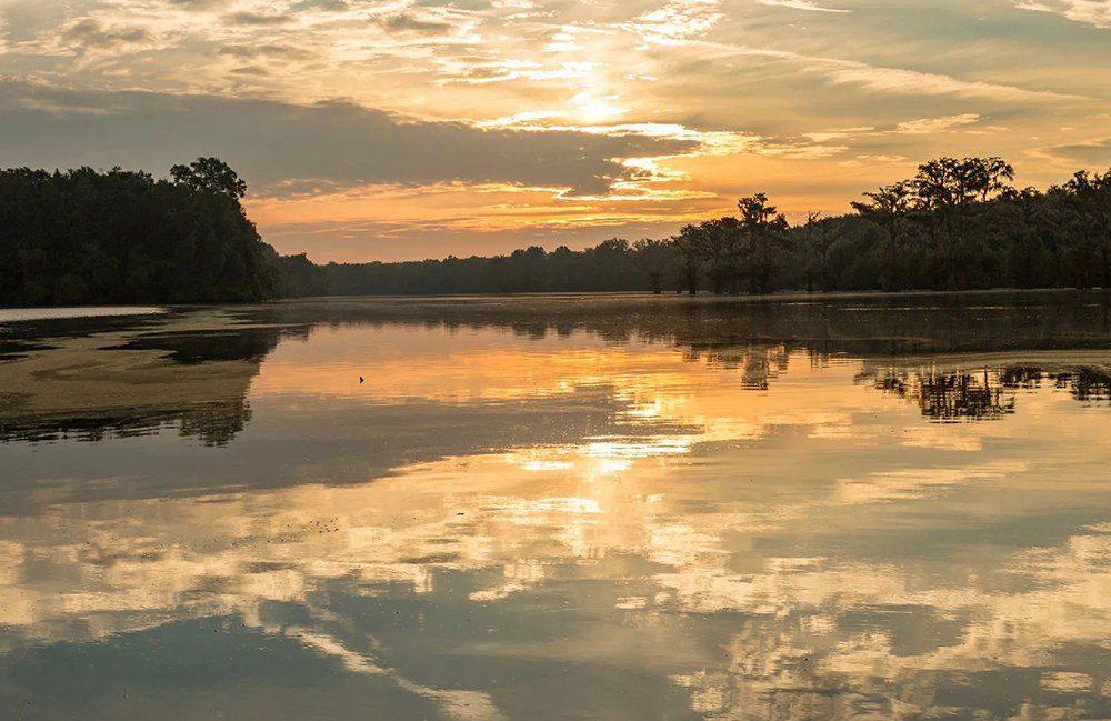 Lewis Smith Lake