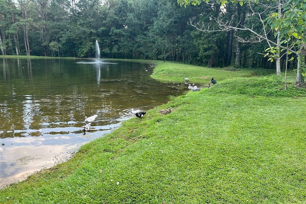 Onsite Fishing Pond