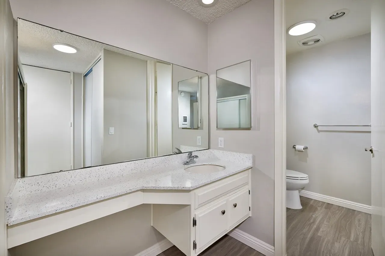 Bathroom vanity with sink and large mirror, adjacent to toilet and shower.
