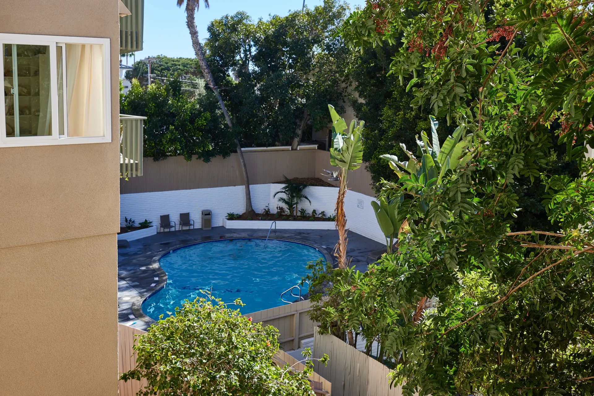 Courtyard swimming pool with lounge chairs and lush greenery.