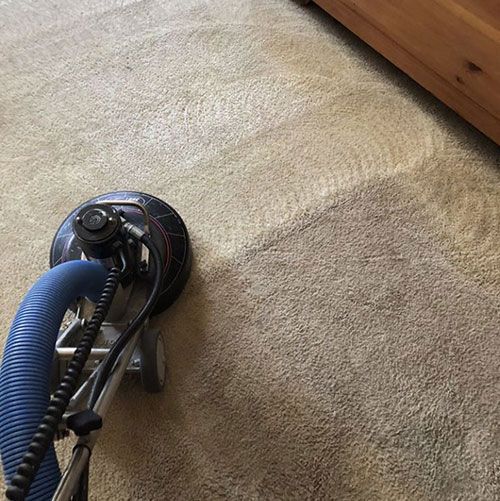 A vacuum cleaner is cleaning a carpet in a living room.