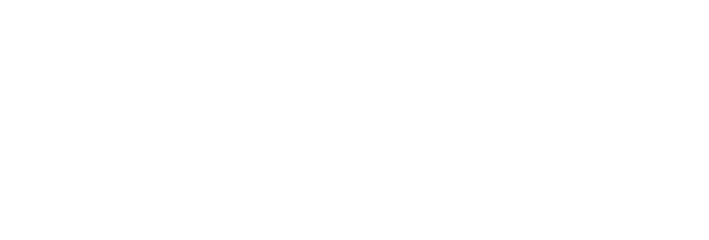 Logotipo com letras azuis e o texto “Irma Maria” em azul e “Vidente Espírita”em preto.