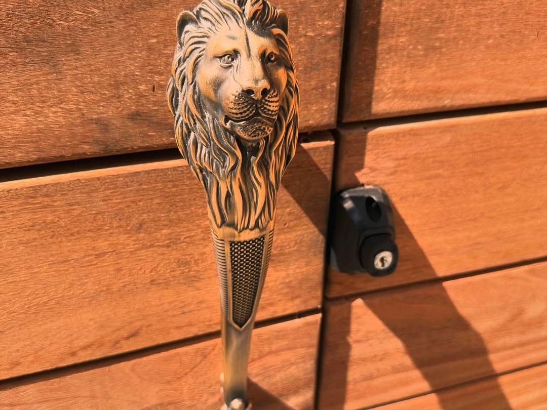 Lion-head metal door knocker on a wooden door with a black lock box.