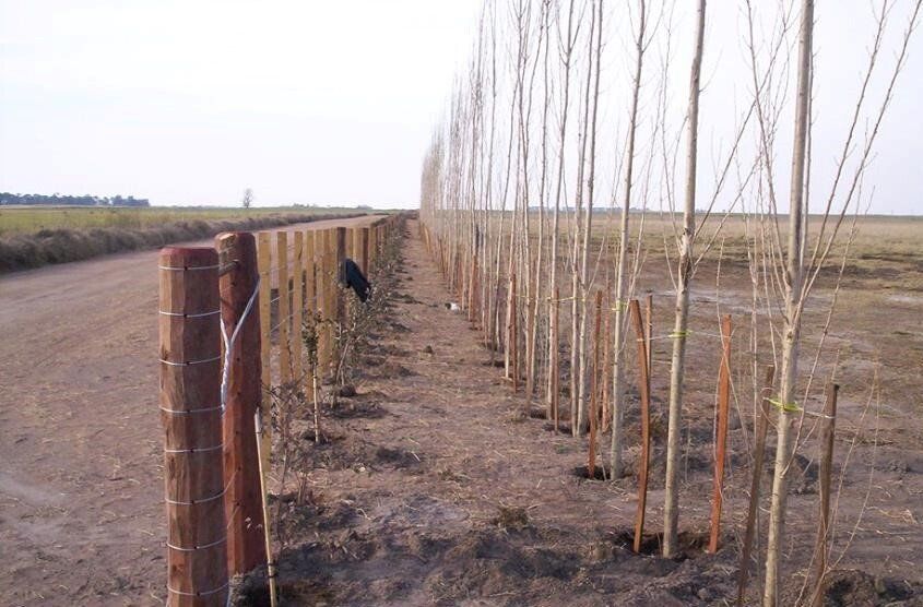 alambrado campo madera