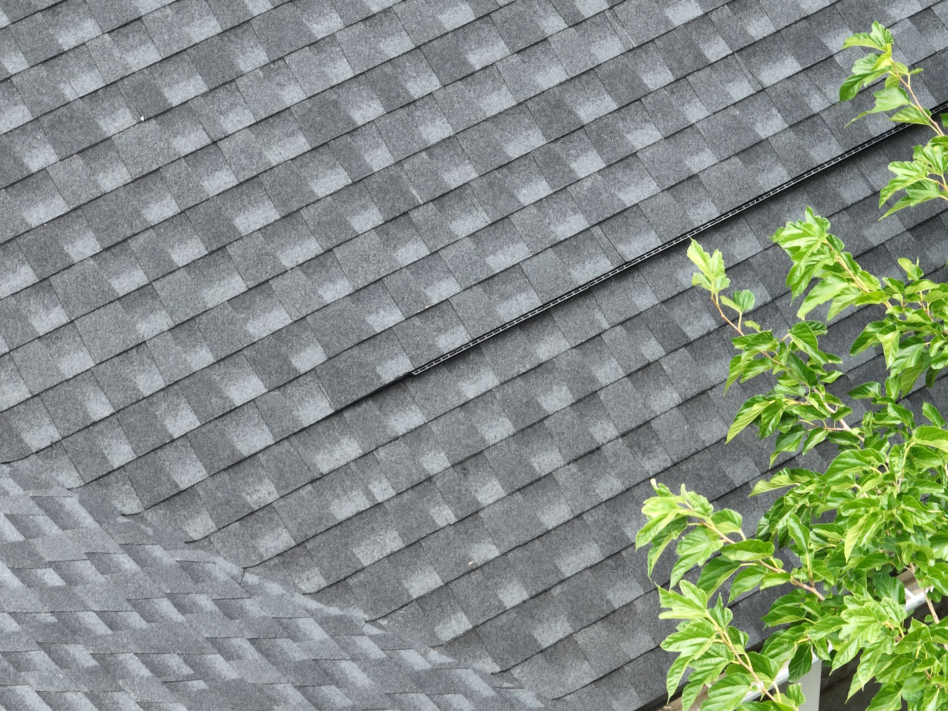 A close up of a roof with a tree in the background.