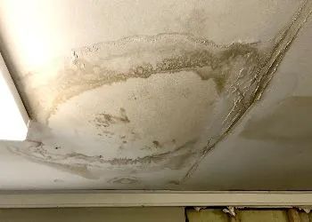 Water-damaged ceiling with brown stains and peeling paint, indicating a leak.