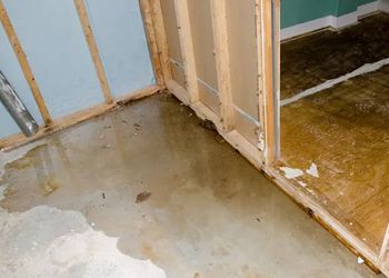 A corner of a room with a concrete floor and a wooden wall.