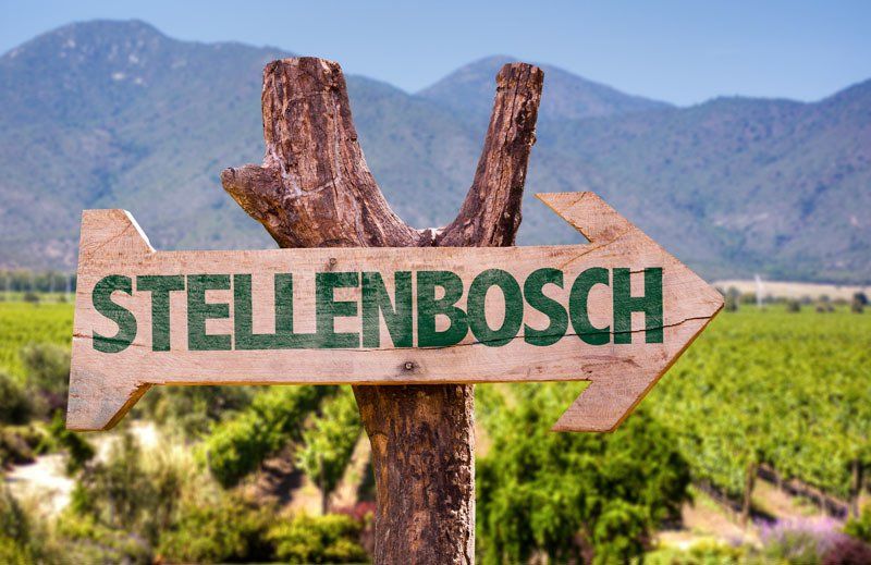 A wooden sign with an arrow pointing to stellenbosch in front of a vineyard.