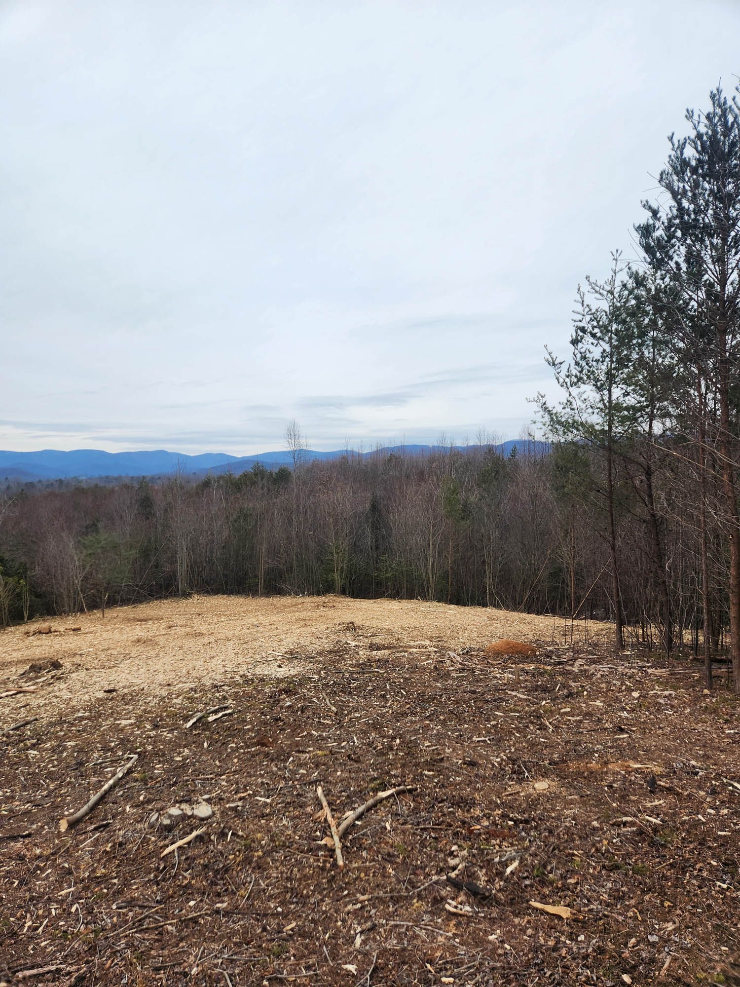 A dirt field with trees in the background and mountains in the distance.