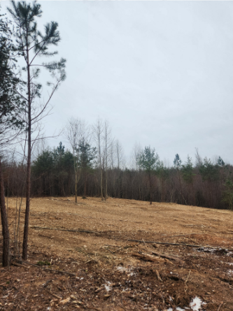 A dirt field with trees in the background and mountains in the distance.