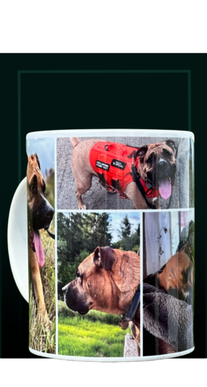 A white ceramic mug featuring a photo collage of a brown dog wearing a red vest and walking outdoors.