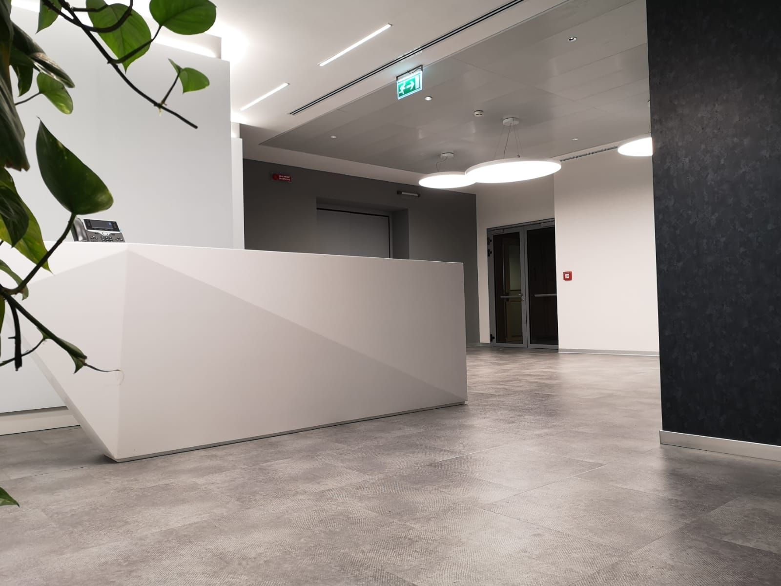 Moderna area reception per ufficio con scrivania bianca, pavimento grigio e pianta frondosa.