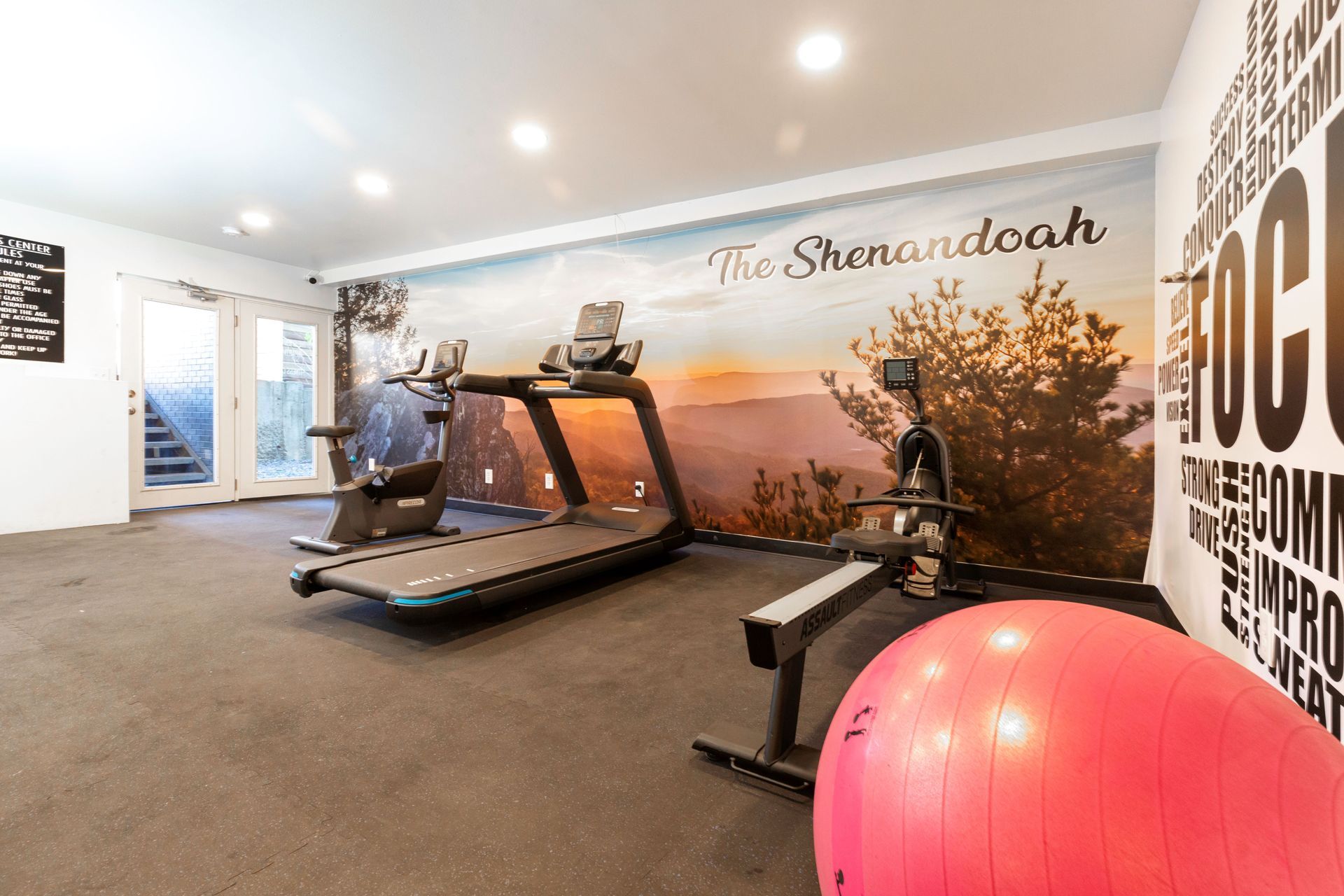 Gym with exercise equipment, including a treadmill, stationary bike, and exercise ball, and a scenic mural.