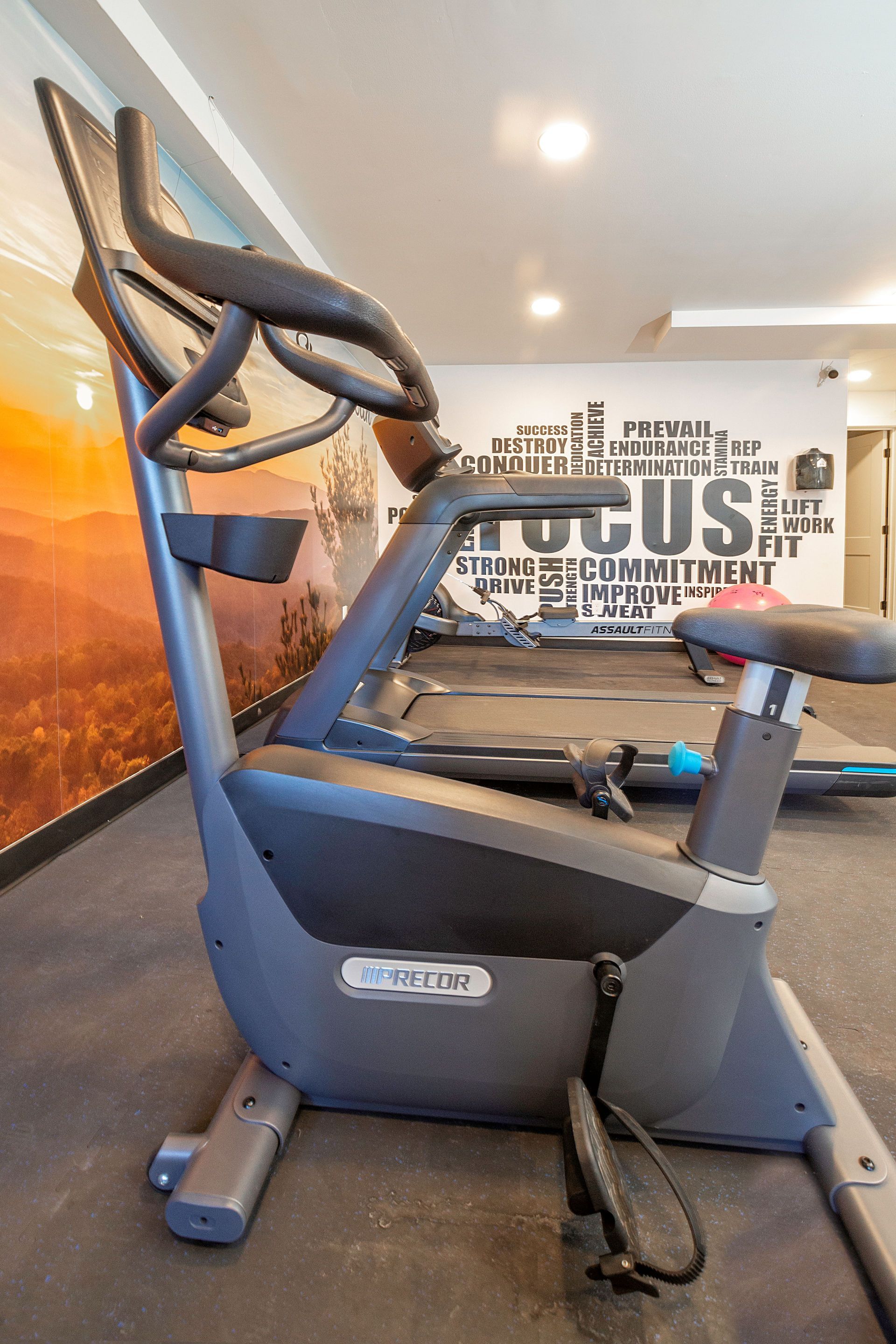 Upright exercise bike in a gym, black and gray, with motivational wall art in the background.