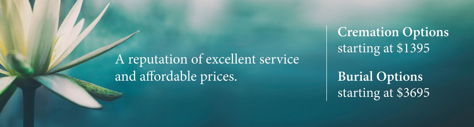 a white flower is sitting on top of a blue background .