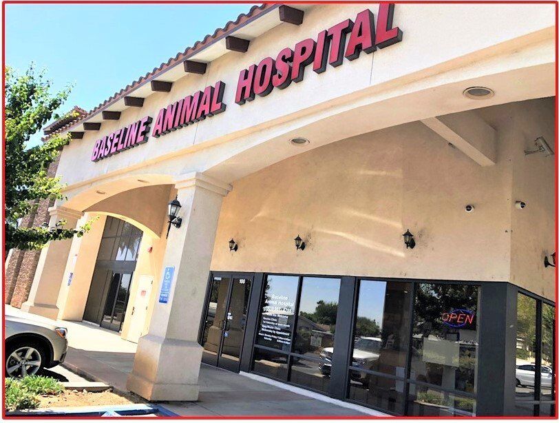 Day Creek Animal Hospital Rancho Cucamonga Ca Animal Hospital - Rancho Cucamonga, CA - Baseline Animal Hospital