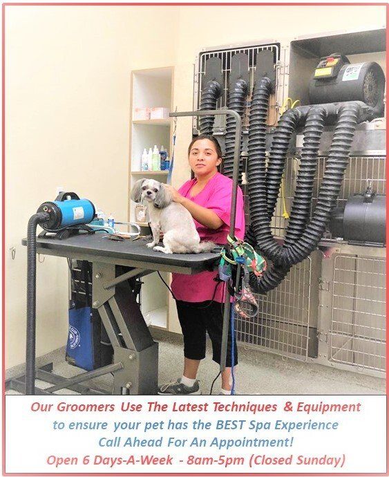 Animal Hospital Rancho Cucamonga, CA Baseline Animal Hospital