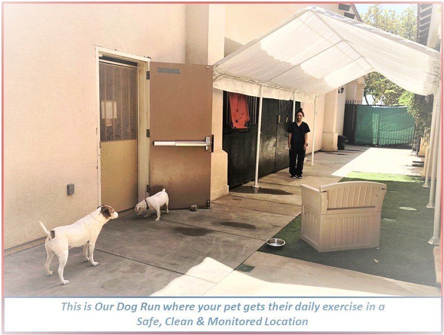 Animal Hospital Rancho Cucamonga, CA Baseline Animal Hospital