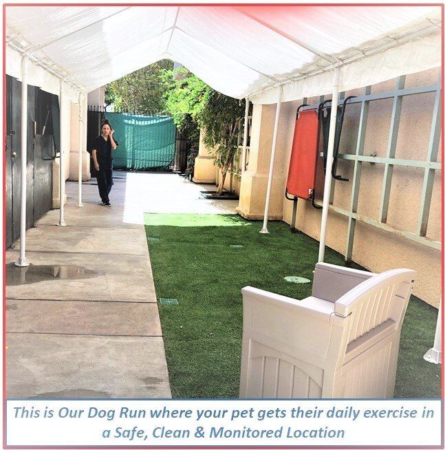 Animal Hospital Rancho Cucamonga, CA Baseline Animal Hospital