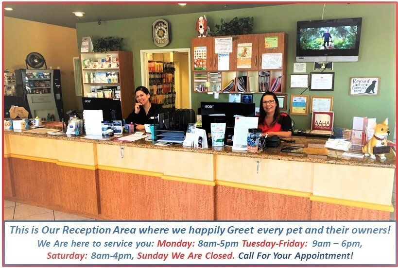 Animal Hospital Rancho Cucamonga, CA Baseline Animal Hospital