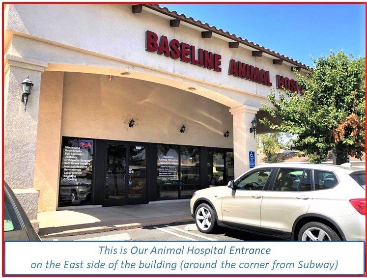 Animal Hospital Rancho Cucamonga, CA Baseline Animal Hospital