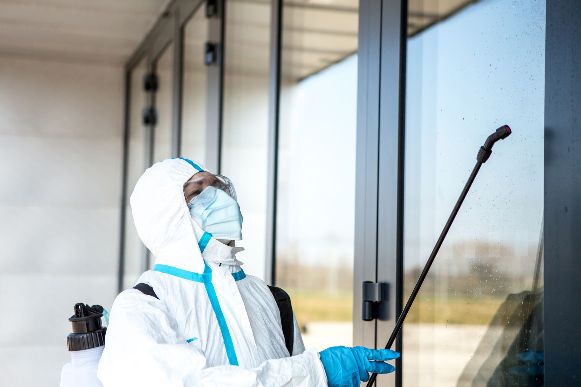 General Pest Treatment — Hornsby Heights, NSW — Sterling Pest Control Pty Ltd