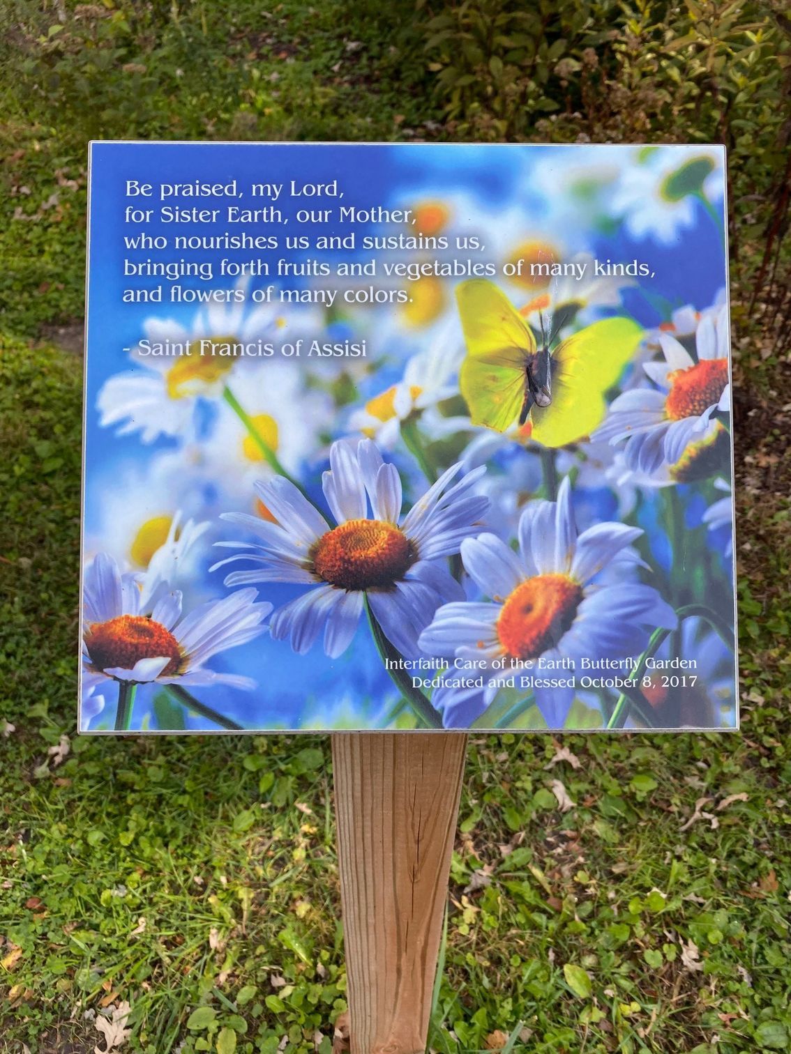 A wooden garden sign features a yellow butterfly on white daisies with the quote: 