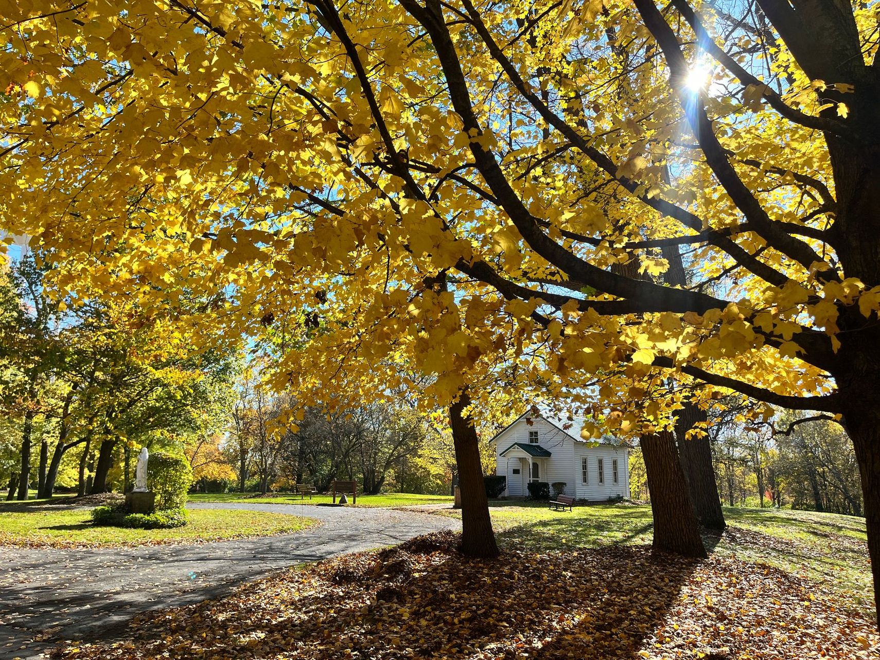 A white building stands in a sunny, autumn landscape beneath trees with vibrant yellow leaves and a carpet of fallen leaves.