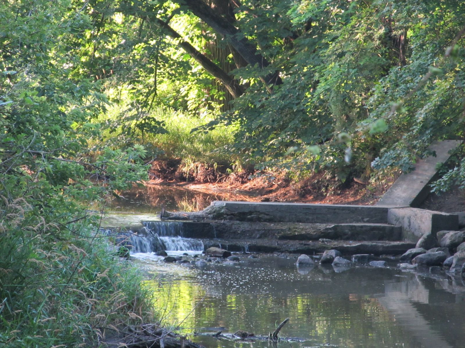 A small, tree-lined stream flows over a tiered concrete weir or spillway amidst lush green foliage.