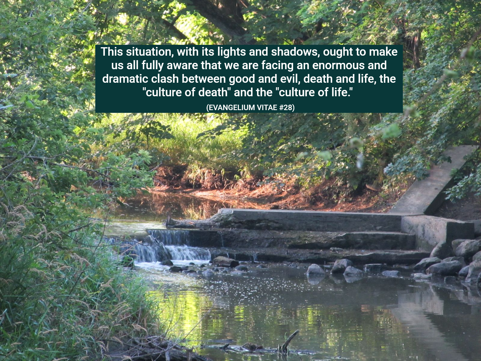 A small stream flows over stone steps in a wooded area, overlaid with a quote from Evangelium Vitae about life and death.