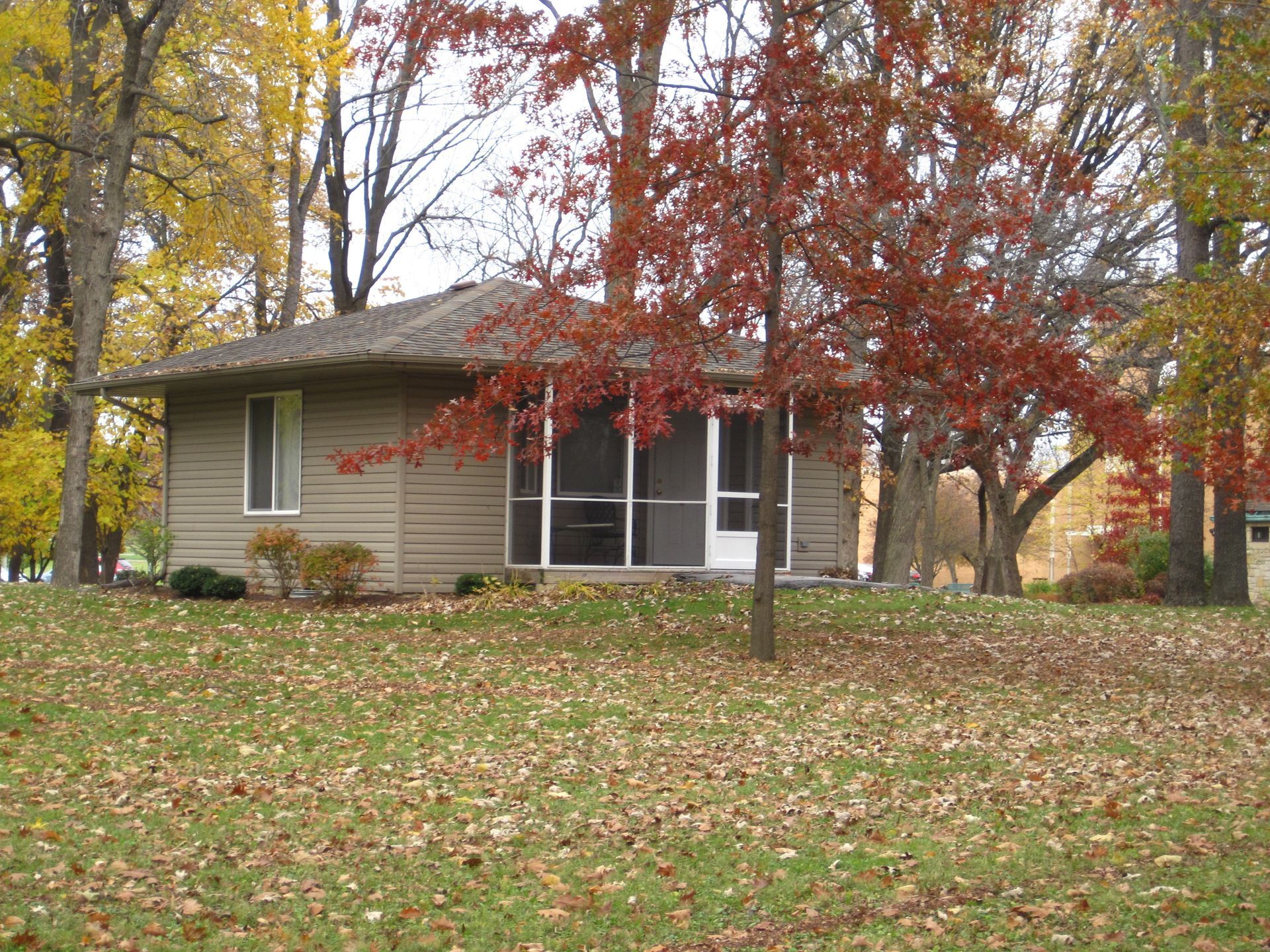 A small, tan cottage with a screened-in porch sits on a grassy hill covered in fallen autumn leaves.