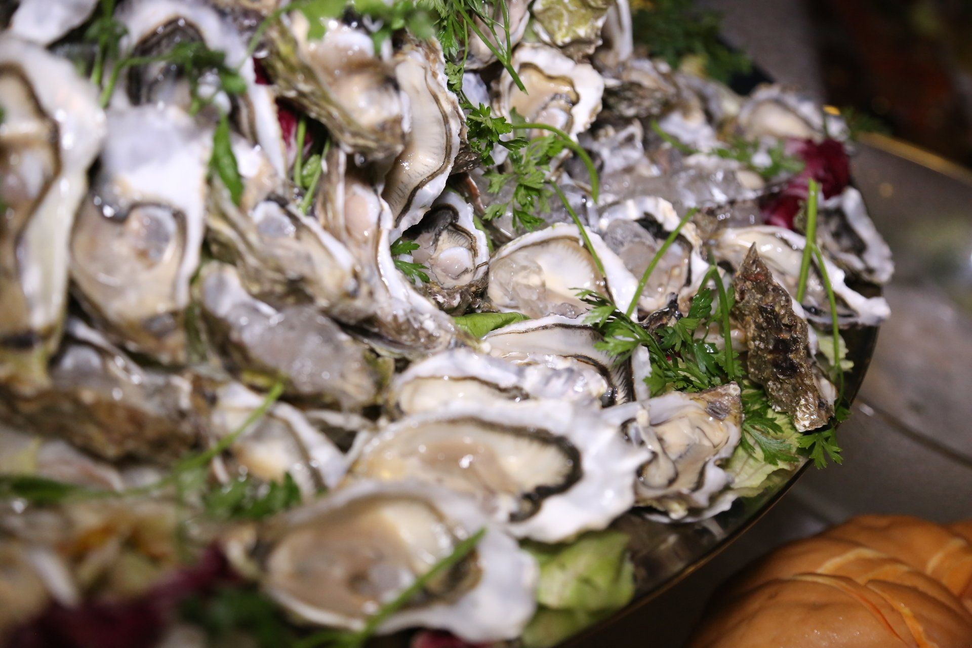 Primo piano di un piatto di ostriche su ghiaccio.