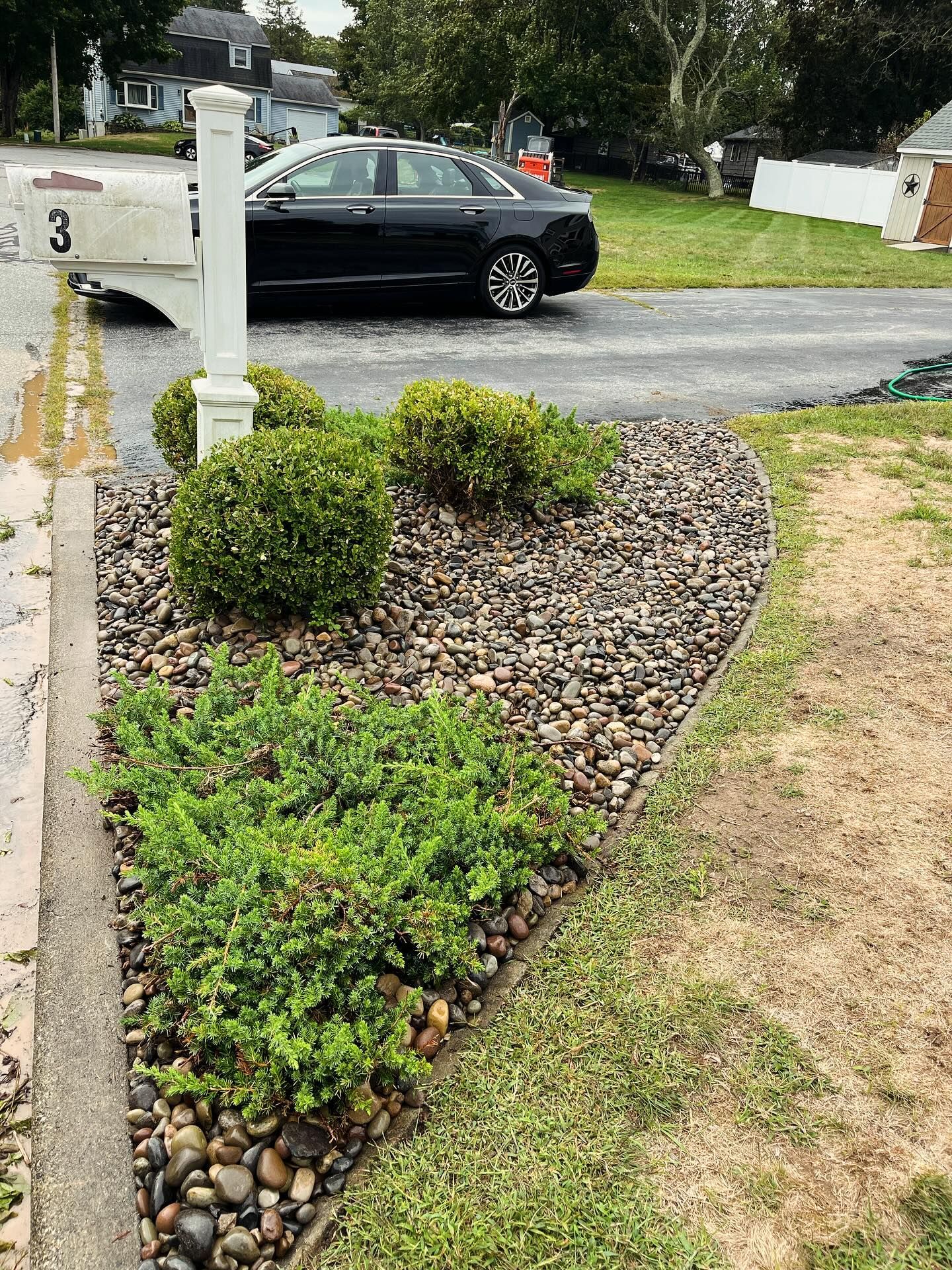 Landscaped garden bed with rocks, shrubs, and mailbox near a road, with a black car.