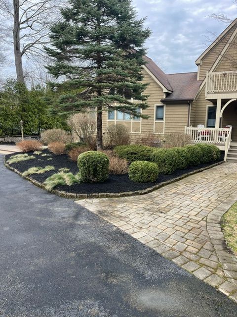 Landscaped garden bed with black mulch, shrubs, and trees in front of a house with a brick walkway and asphalt driveway.