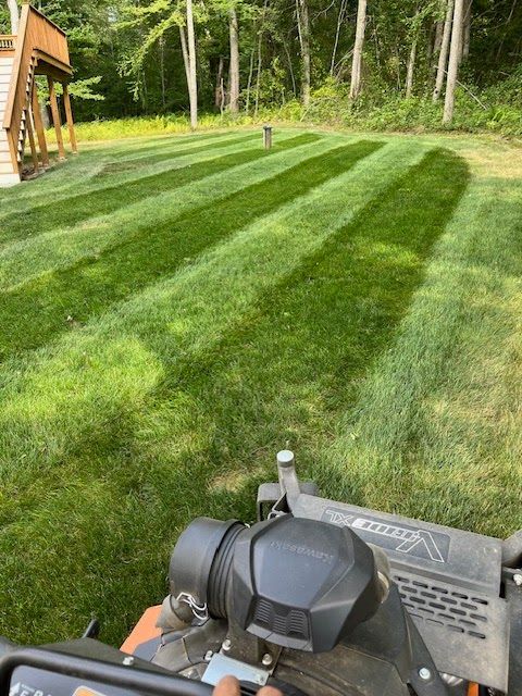 Lawn mower cutting grass in alternating stripes, creating light and dark green patterns in a backyard setting.