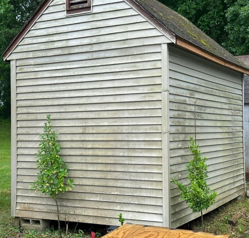 Weathered wooden shed with horizontal siding, two small trees in front.