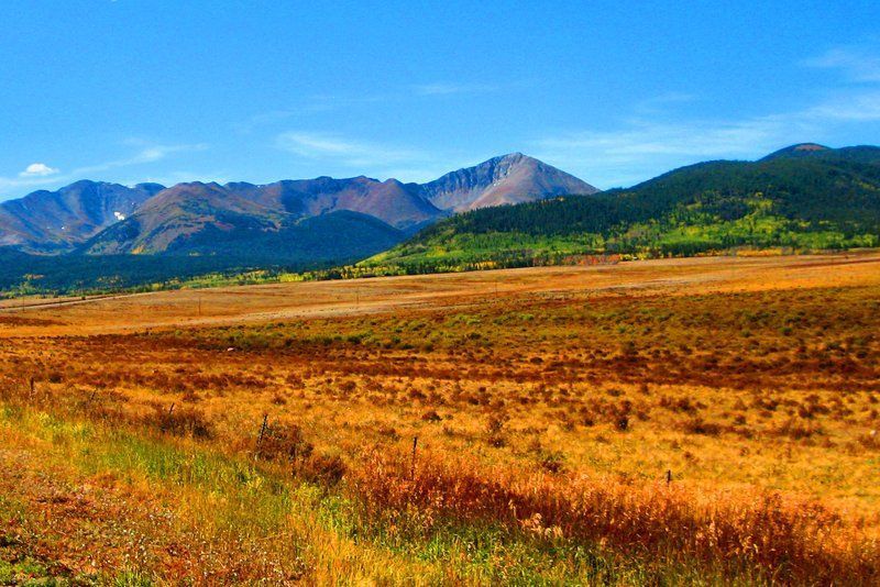 Vast golden field against a backdrop of mountains under a blue sky.
