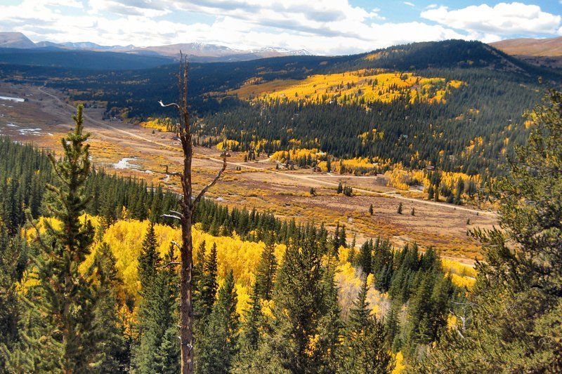Vast mountain valley with golden aspen trees and evergreen forest under a bright sky.