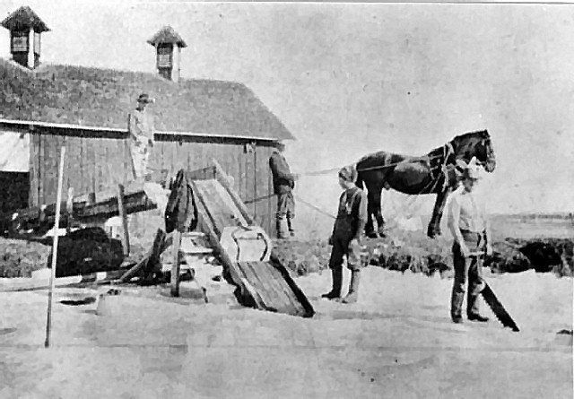 Horse-drawn equipment near a barn. Men standing around, one pulling a rope.